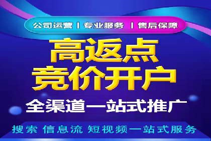 百度竞价策略解析：案例分析及优化建议